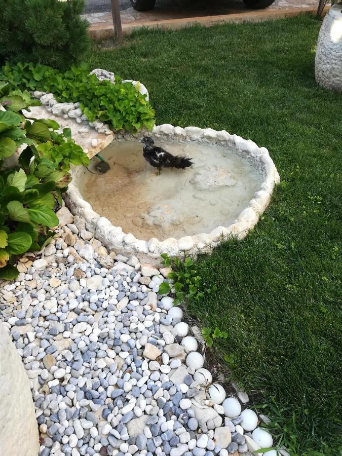 Apartmani Villa Otilija Porec Bagian luar foto